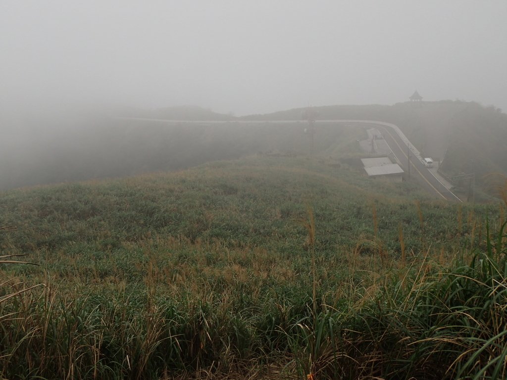 P1203513.JPG - 瑞芳  牡丹山