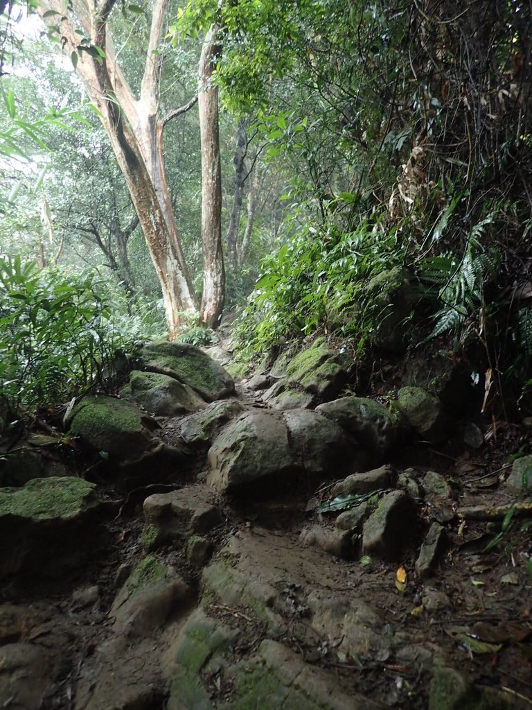 P2107510.JPG - 大溪  溪洲山登山步道