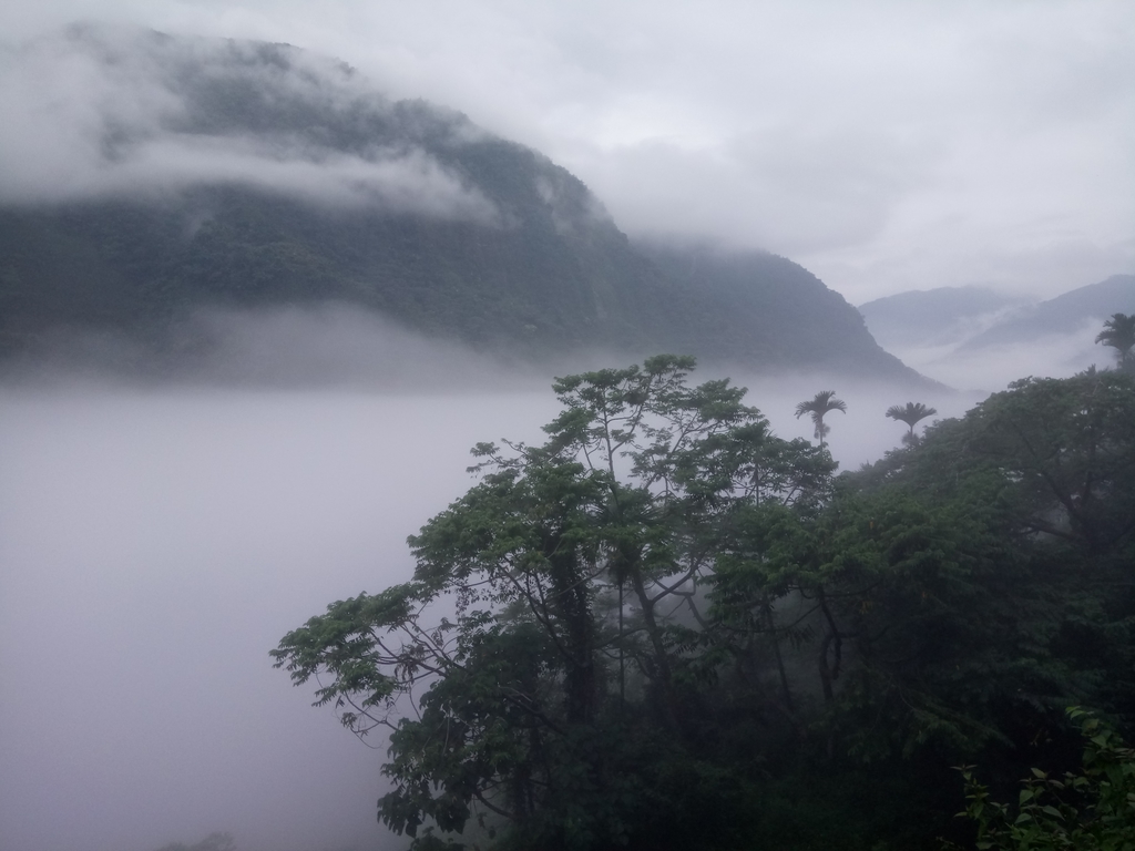 DSC_1144.JPG - 古坑  草嶺  雲山繚繞