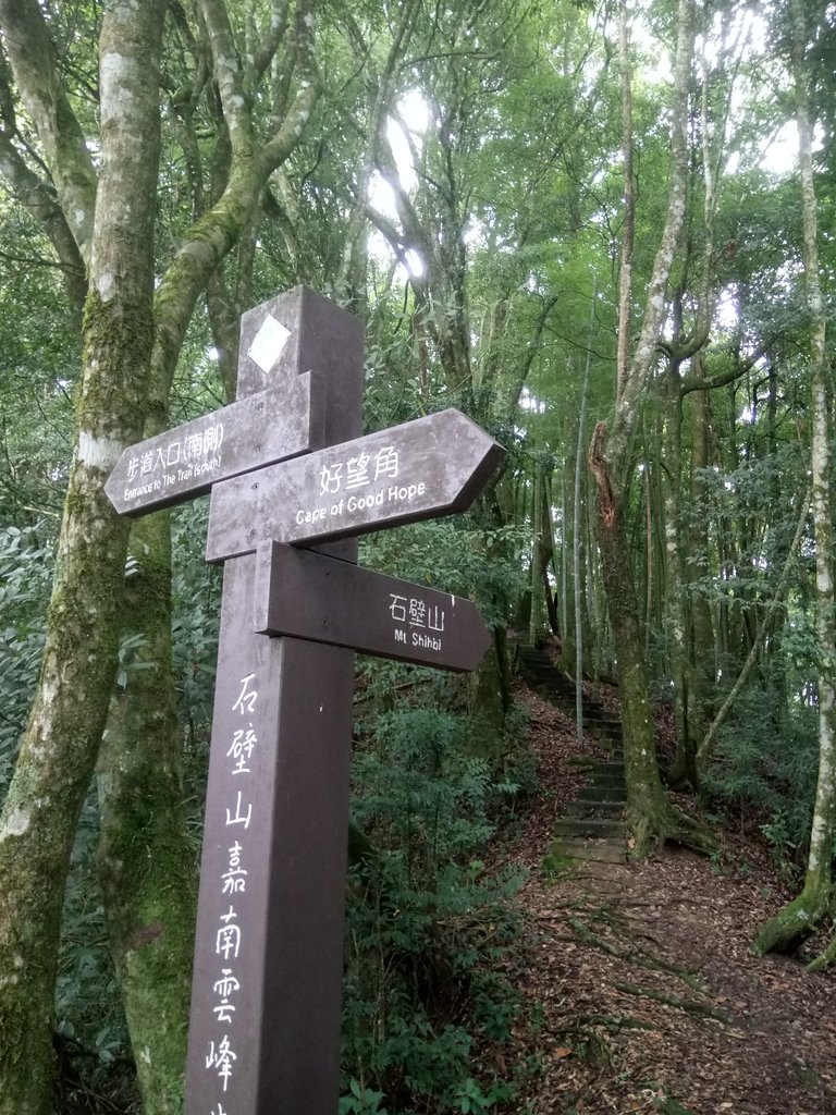 DSC_1258.JPG - 石壁山  嘉南雲峰步道