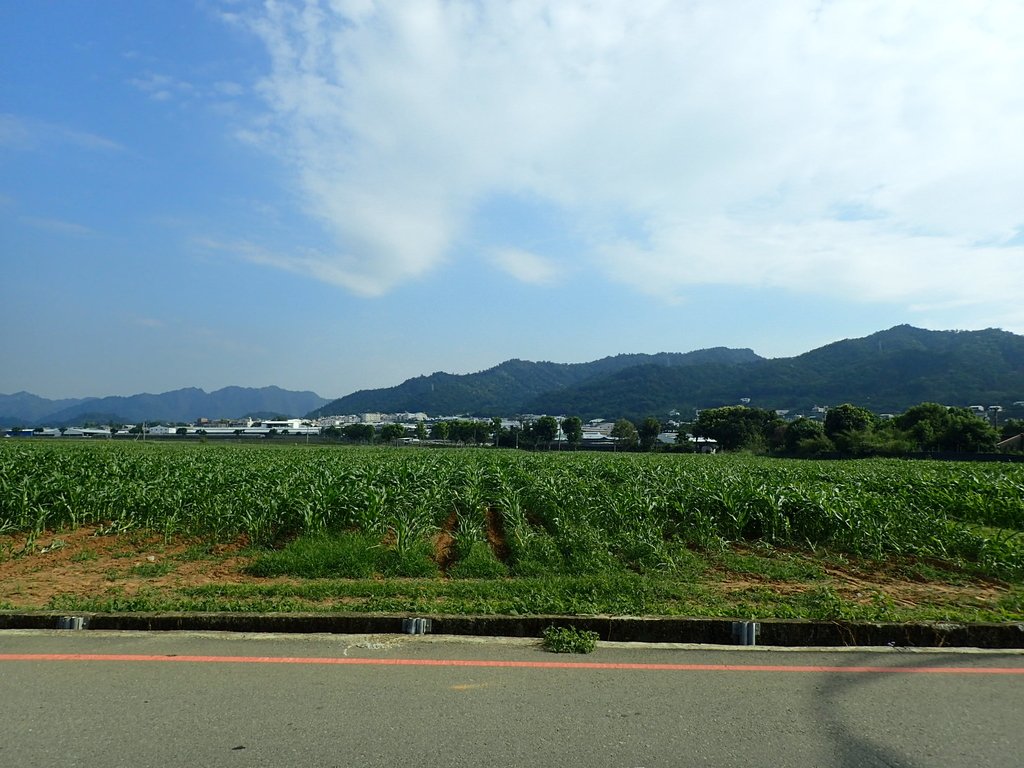 P5012389.JPG - 新社  台地平野風光