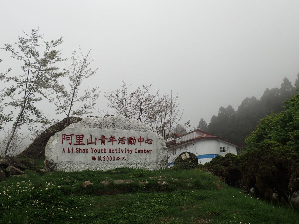 P3257996.JPG - 阿里山  二萬坪步道