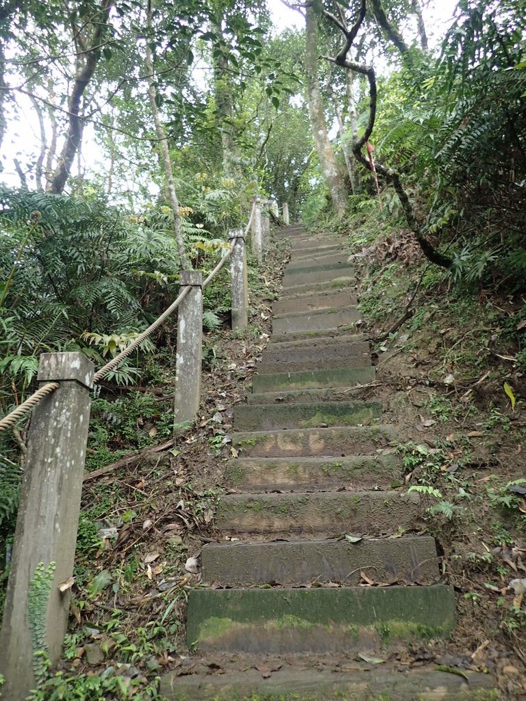 P3170388.JPG - 坪林  鬼子賴尖山