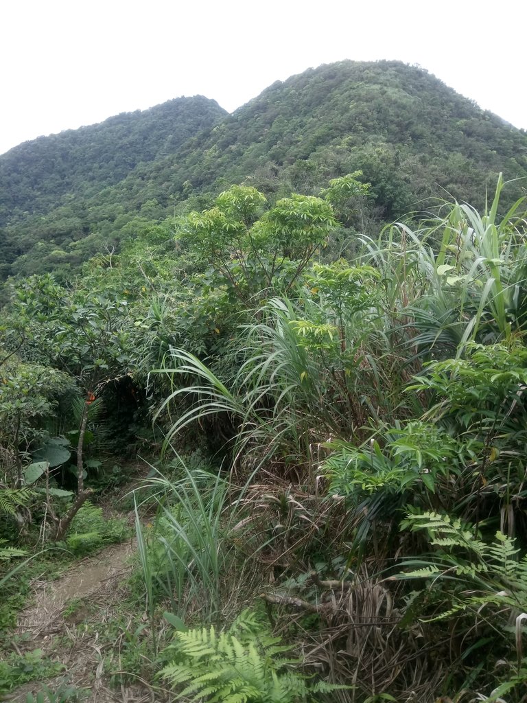 DSC_3442.JPG - 瑞芳  三貂嶺山  三貂大崙