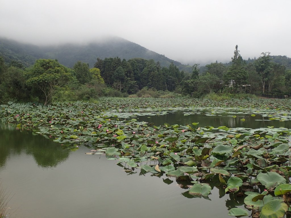 P9250272.JPG - 南庄  向天湖之  環湖步道