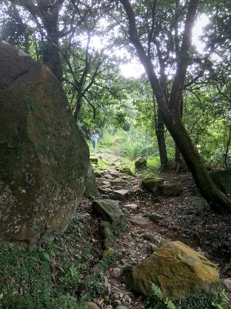 DSC_8668.JPG - 再訪  金包里大道  (魚路古道)