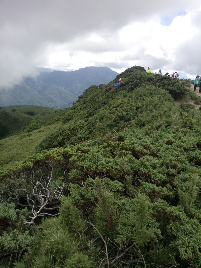 DSC_5384.JPG - 合歡山  北峰之美  (中)