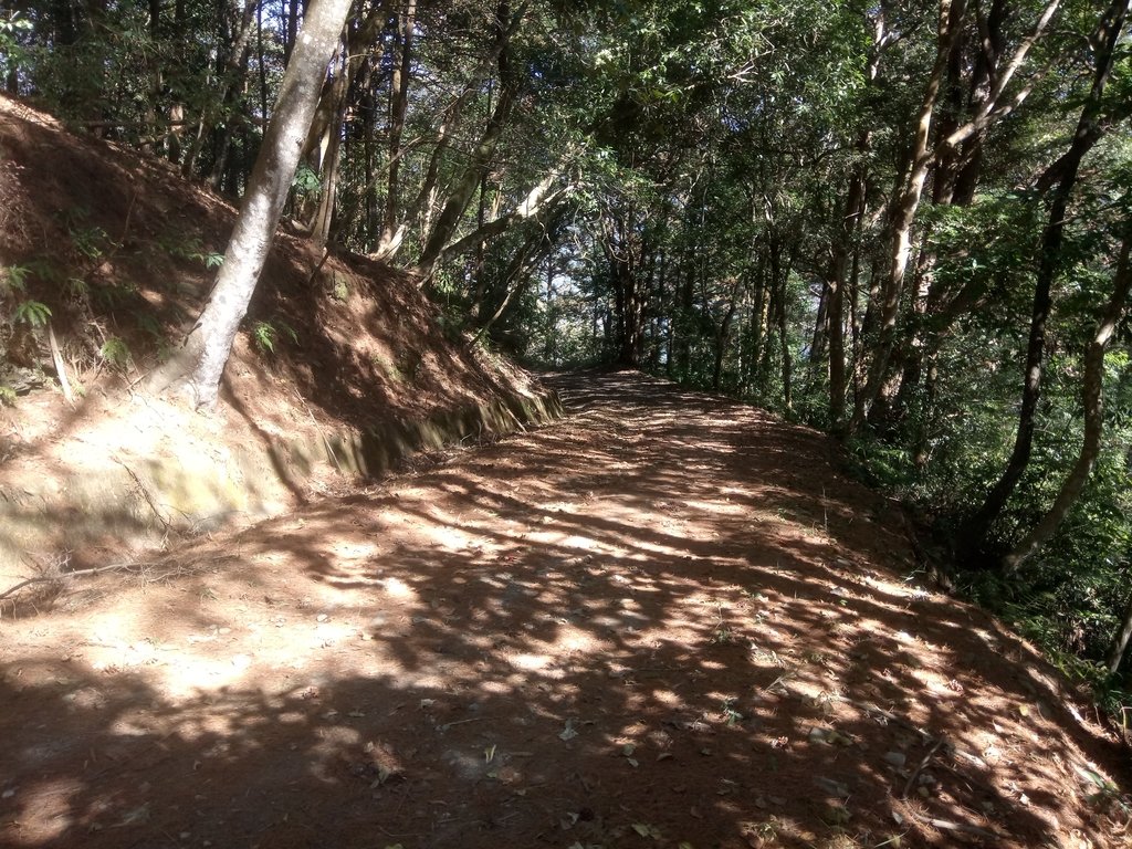 DSC_1707.JPG - 仁愛  惠蓀林場  巨松臺步道