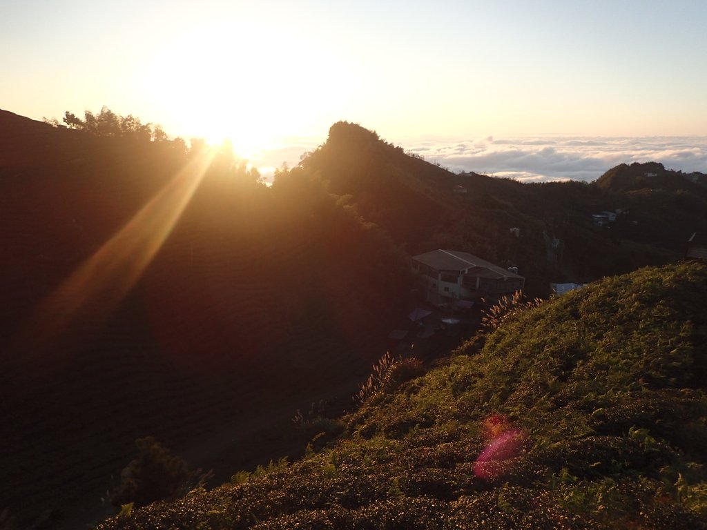 P1076422.JPG - 鹿谷  大崙山  觀霧亭之  暮光