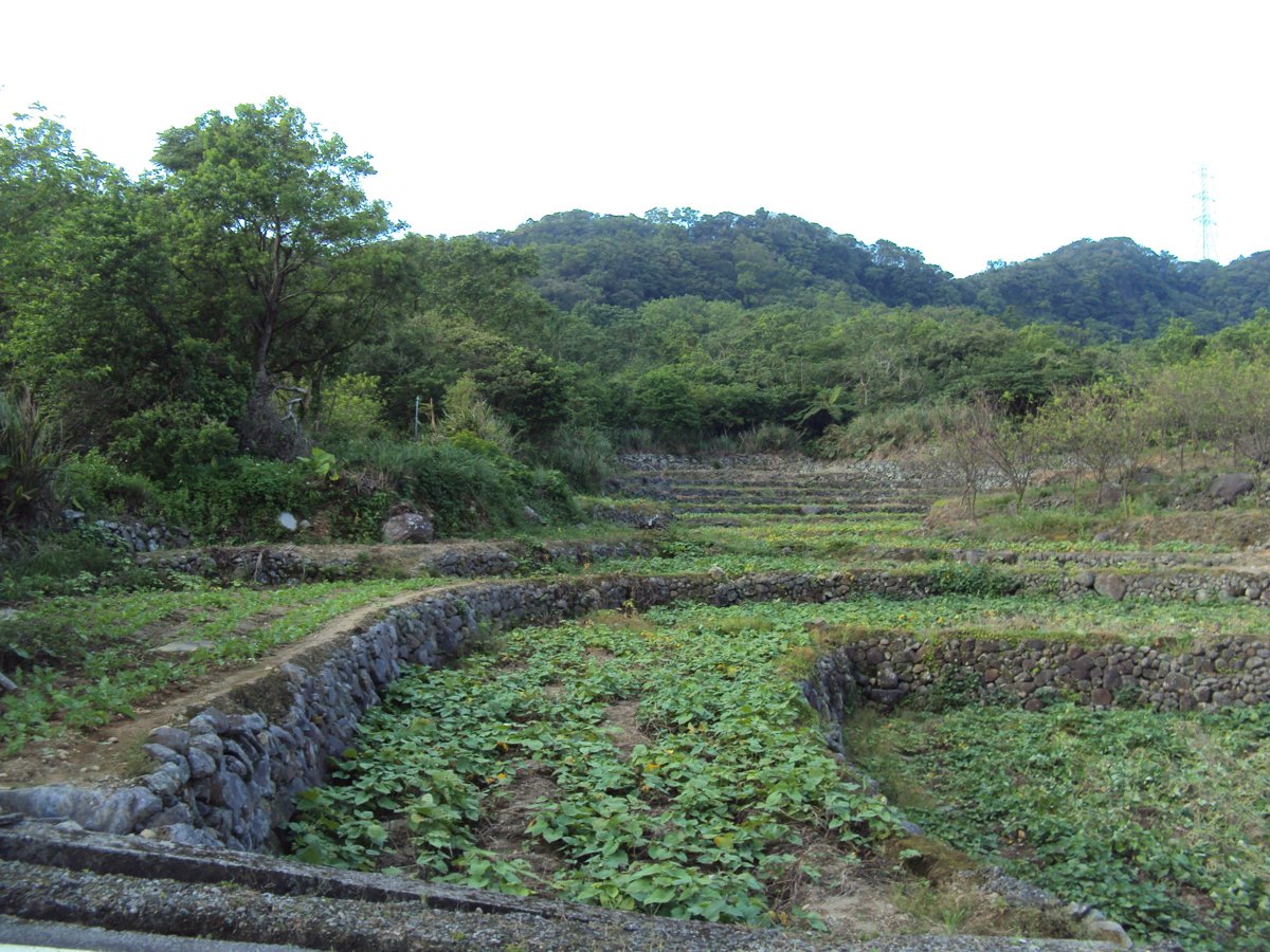 DSC09079.JPG - 金山  葵扇湖田野風光(二) 