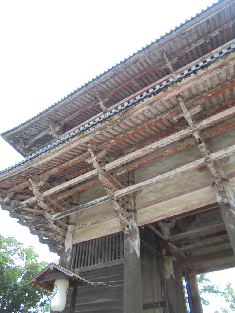 DSC03836.JPG - 奈良  東大寺