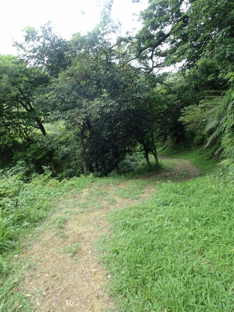 P4143583.JPG - 基隆  五坑山  總督嶺步道