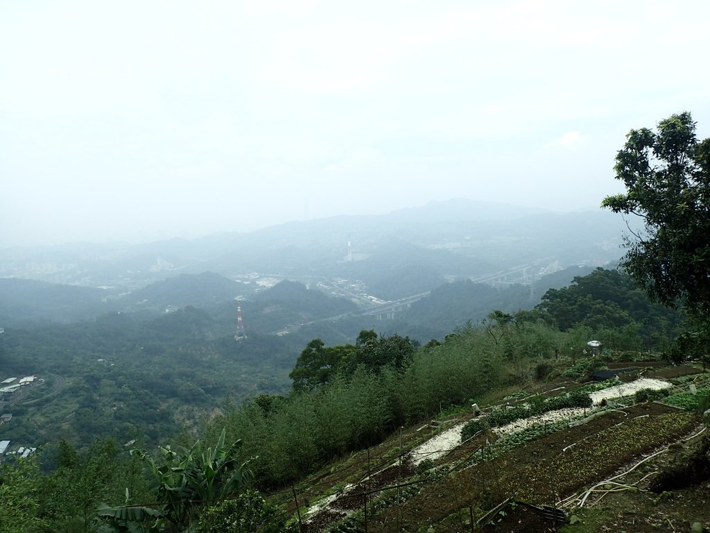 P4051092.JPG - 深坑  炮子崙登山步道