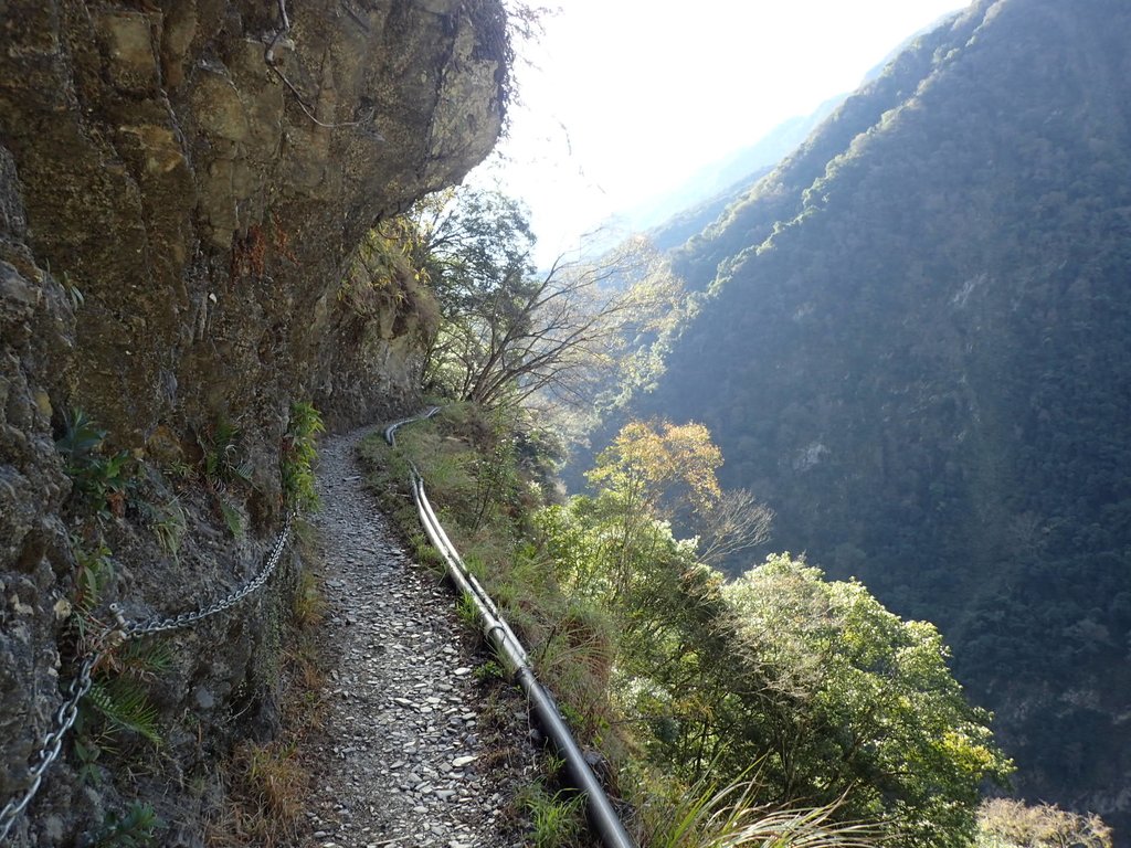 P1022711.JPG - 東埔  八通關古道