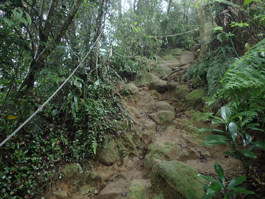 P2107512.JPG - 大溪  溪洲山登山步道