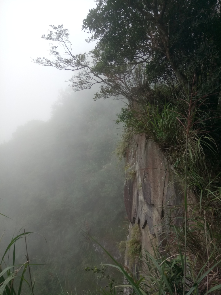 DSC_1259.JPG - 石壁山  嘉南雲峰步道