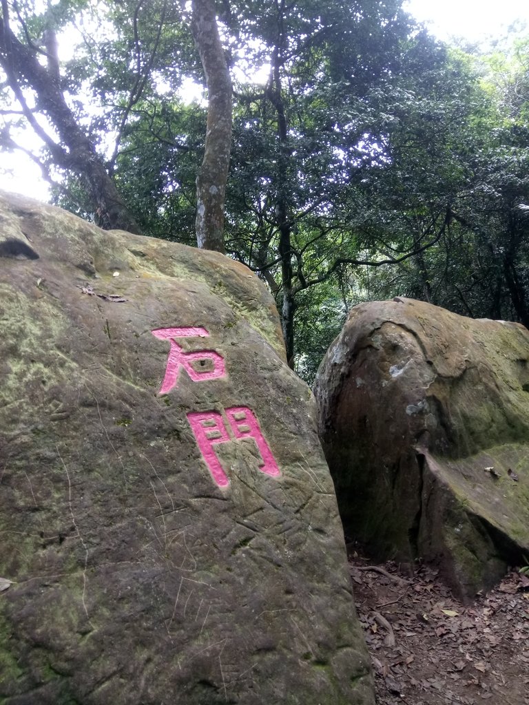 DSC_2116.JPG - 大湖  馬那邦山  (02)