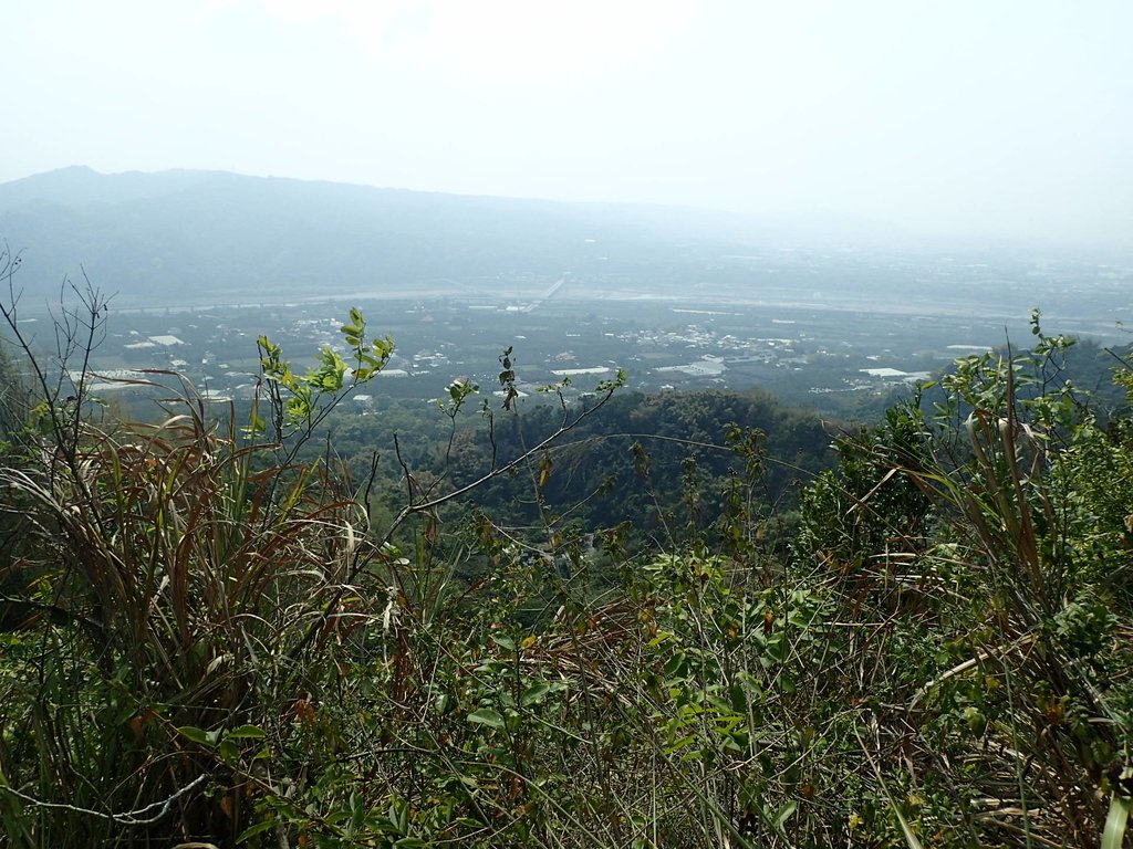 P3016057.JPG - 草屯平林  九九峰森林步道