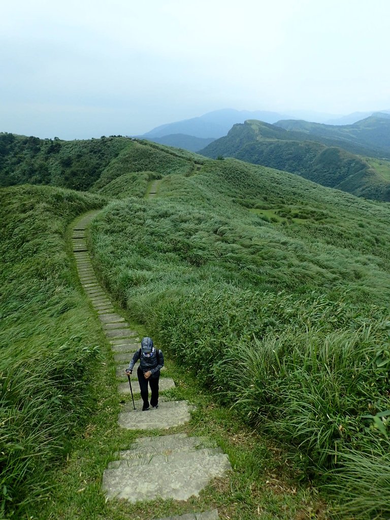 P5258758.JPG - 貢寮  桃源谷  灣坑頭山