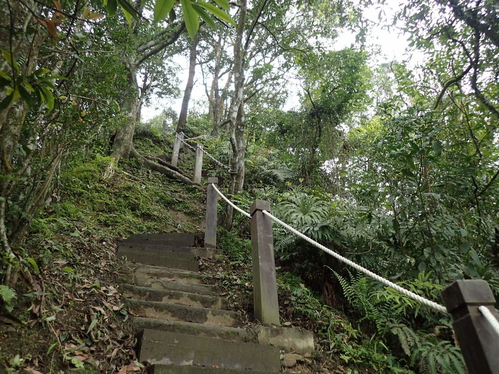 P3170390.JPG - 坪林  鬼子賴尖山