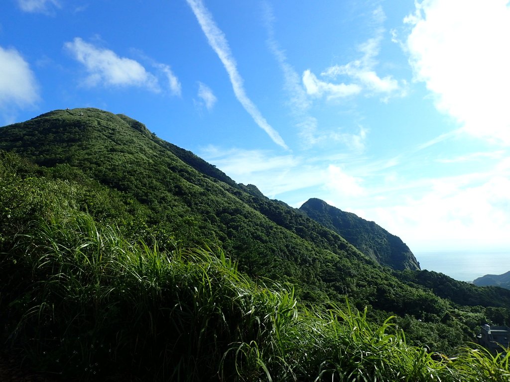 P8317545.JPG - 瑞芳  雞籠山登山步道