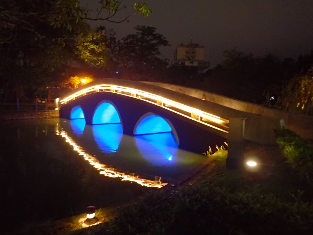 P5096898.JPG - 台中公園  湖心亭之夜