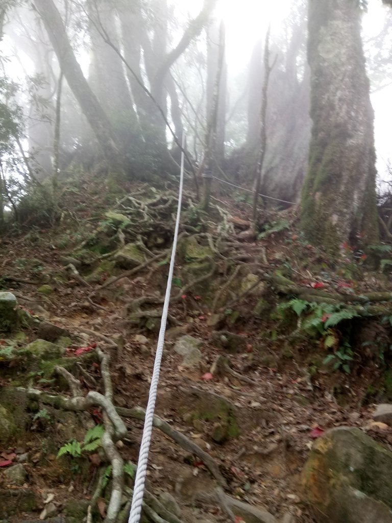 DSC_2678.JPG - 台中  和平  稍來山南峰