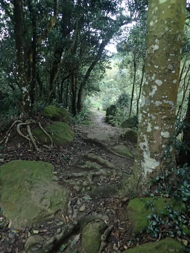 P1294573.JPG - 大湖  關刀山步道  (聖關段)