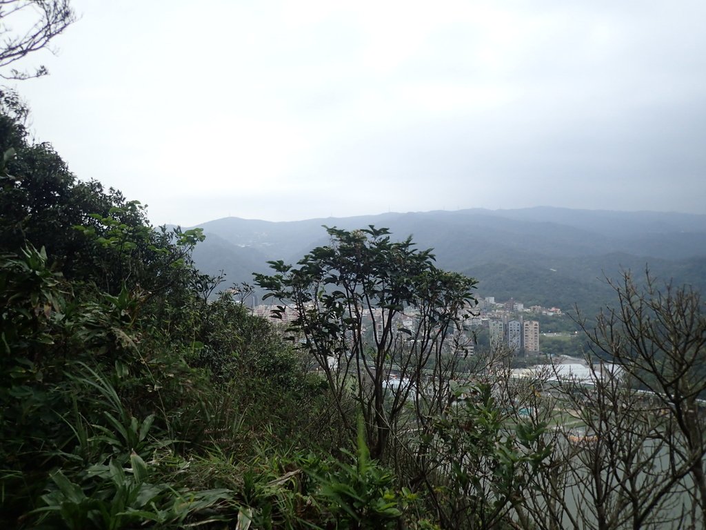 P3116940.JPG - 內湖  白鷺鷥山親山步道