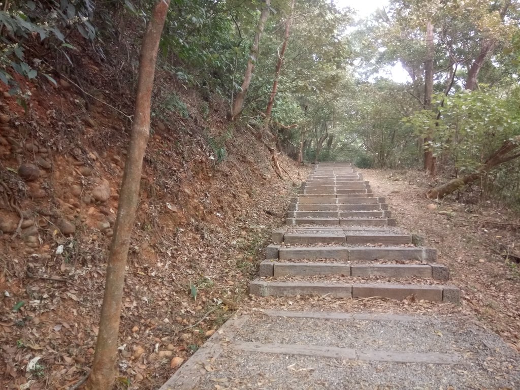 DSC_7458.JPG - 小百岳  橫山觀日步道