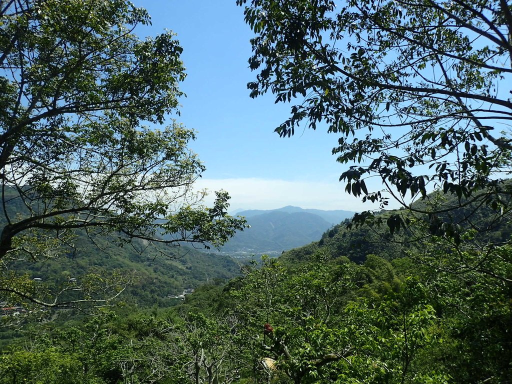 P4161460.JPG - 霧峰  青桐林生態園區