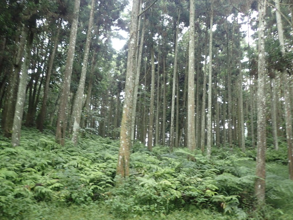 P9250140.JPG - 南庄  向天湖山  光天高山