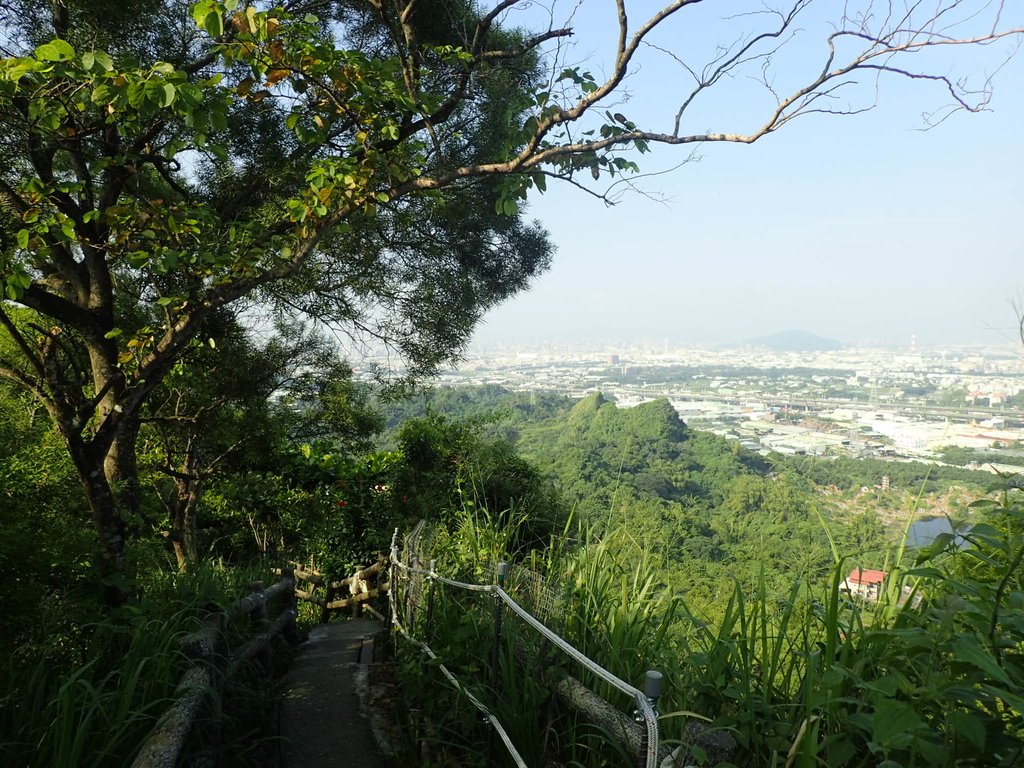 P9189174.JPG - 大社  觀音山步道