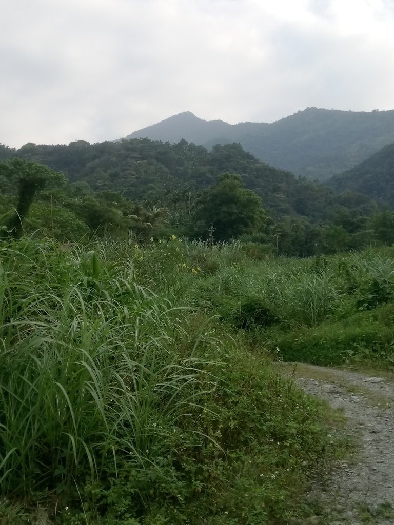 DSC_4142.JPG - 魚池  大尖山  鹽土坑林道