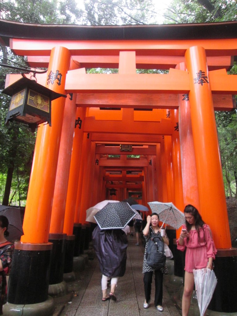 IMG_3685.JPG - 伏見稻荷神社  千本鳥居