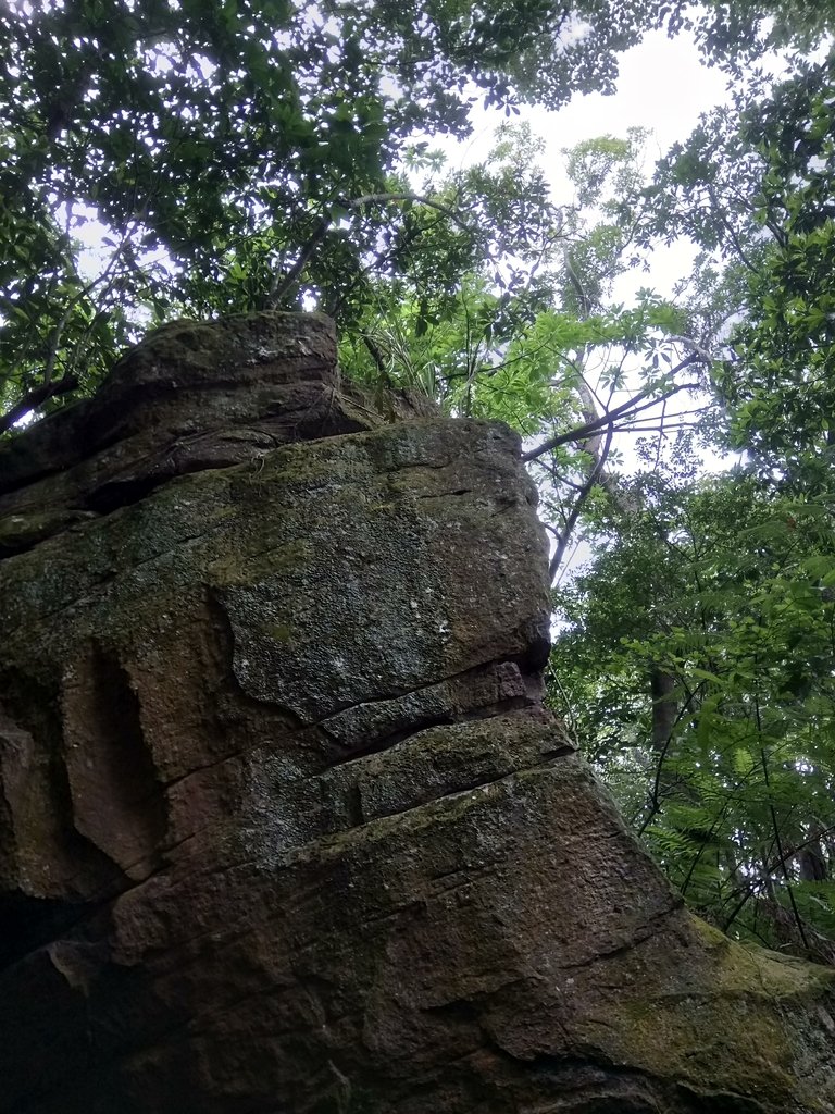 DSC_6935.JPG - 北投  熱海岩場