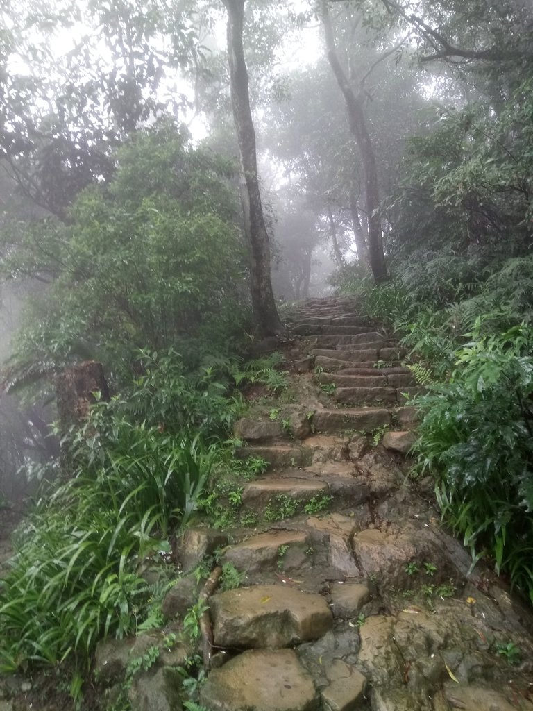 DSC_1735.JPG - 土城  天上山  登山步道