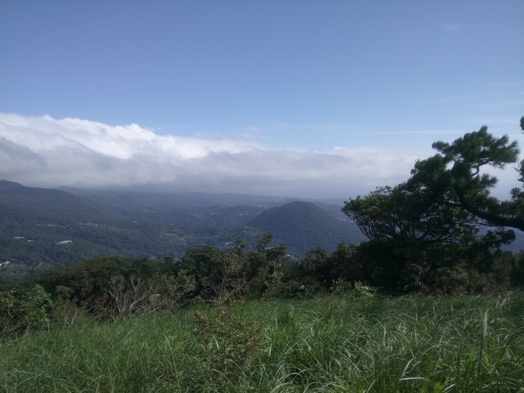 DSC_8783.JPG - 北投  中正山登山步道  02