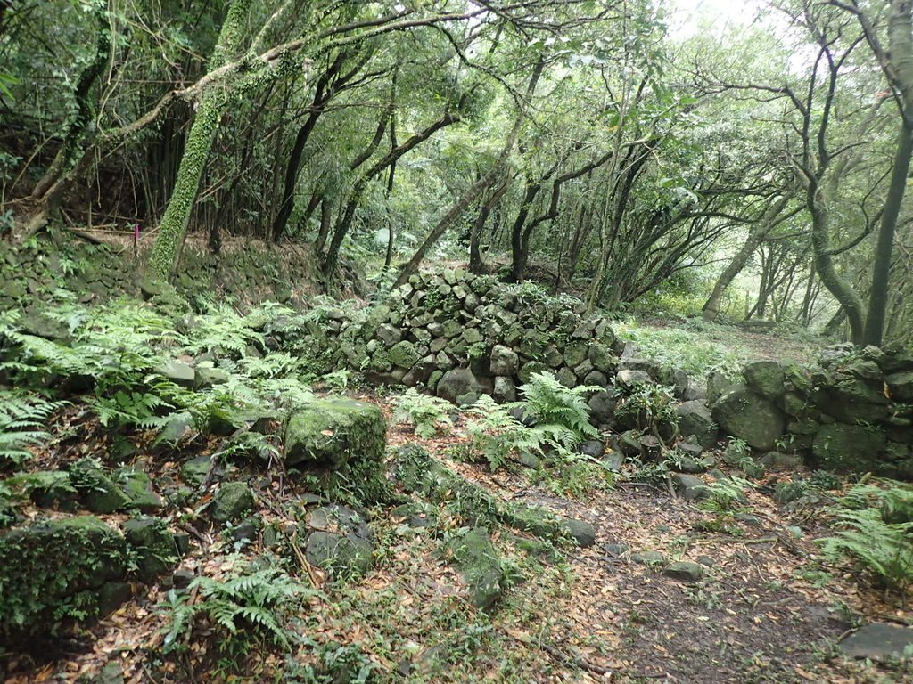 P1274439.JPG - 瑞芳  燦光寮古道初探