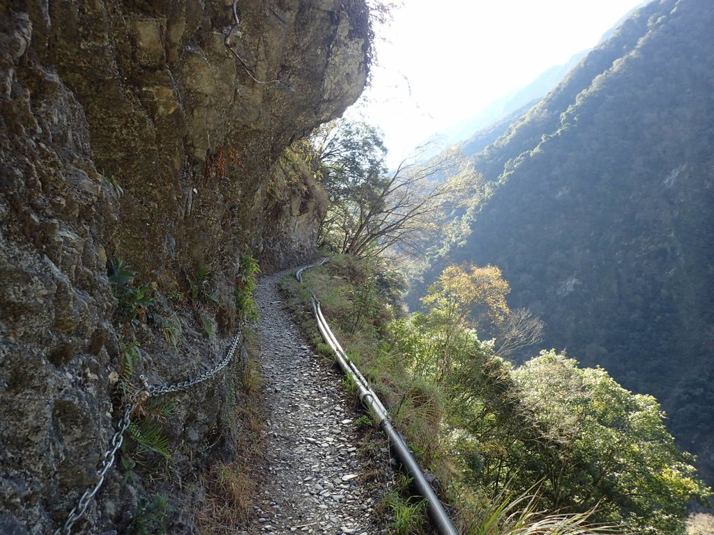 P1022712.JPG - 東埔  八通關古道