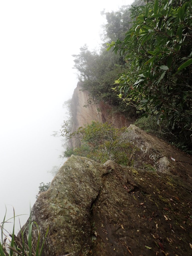 PA231720.JPG - 石壁山  嘉南雲峰步道