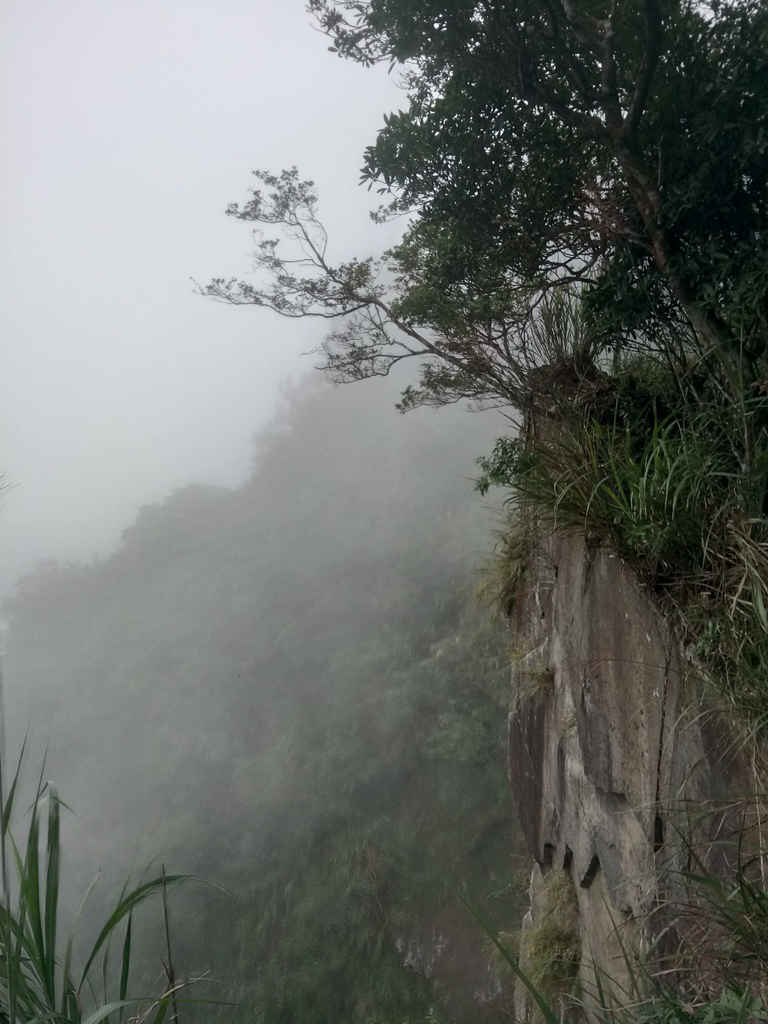 DSC_1261.JPG - 石壁山  嘉南雲峰步道