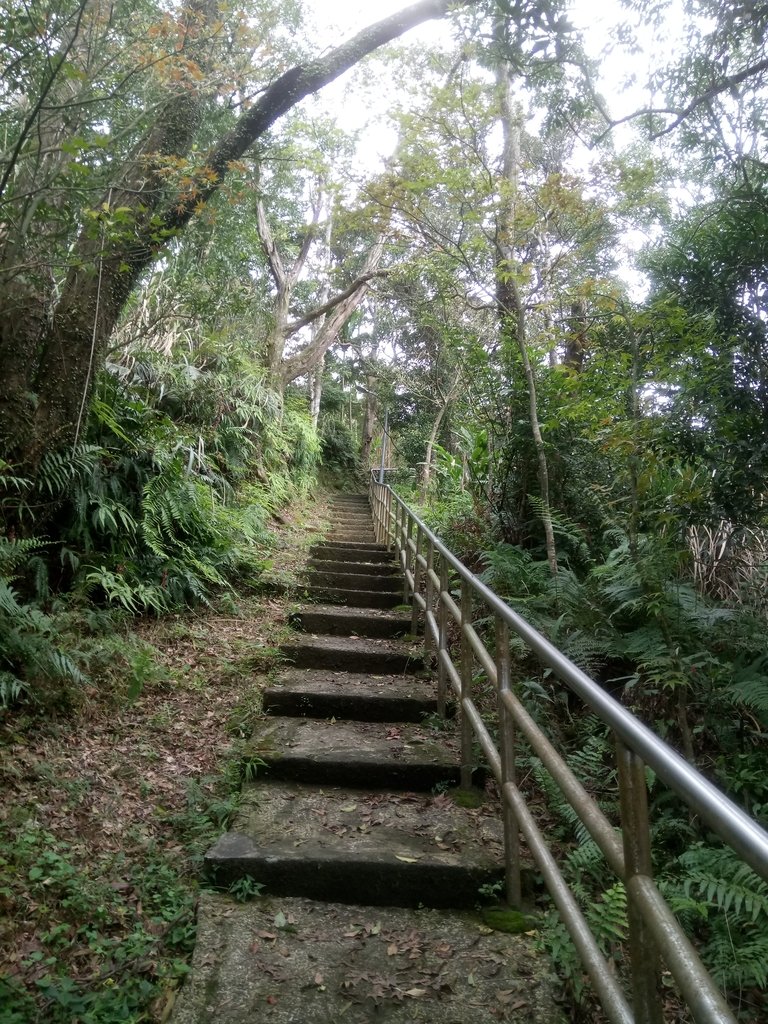 DSC_5932.JPG - 深坑  土庫岳登山步道  (01)