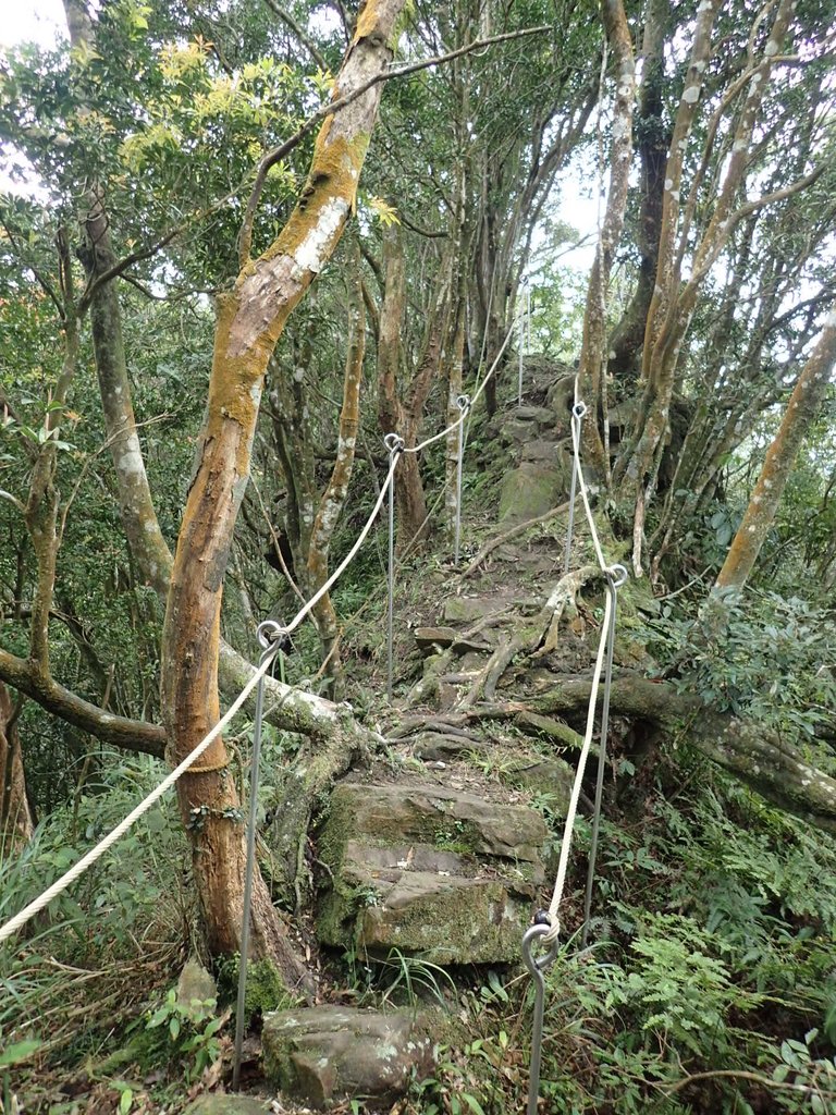 P3170401.JPG - 坪林  鬼子賴尖山