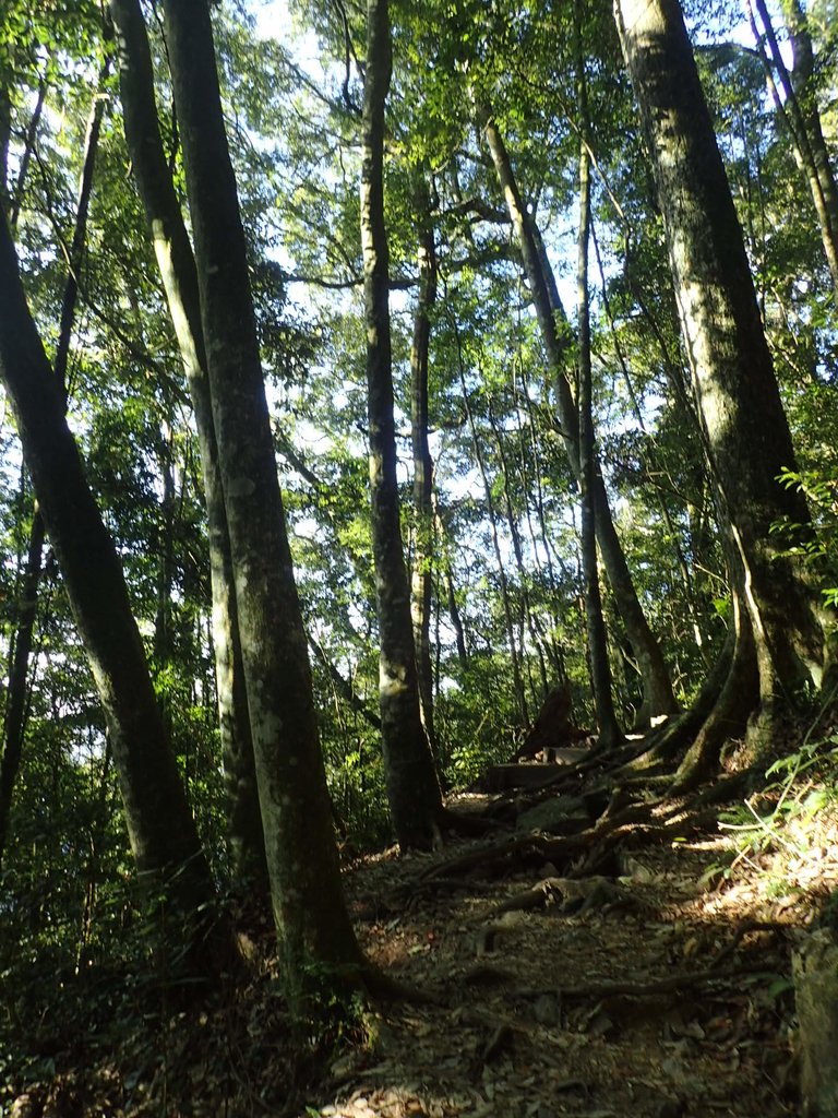 PA185483.JPG - 再訪---  台中  和平  鳶嘴山