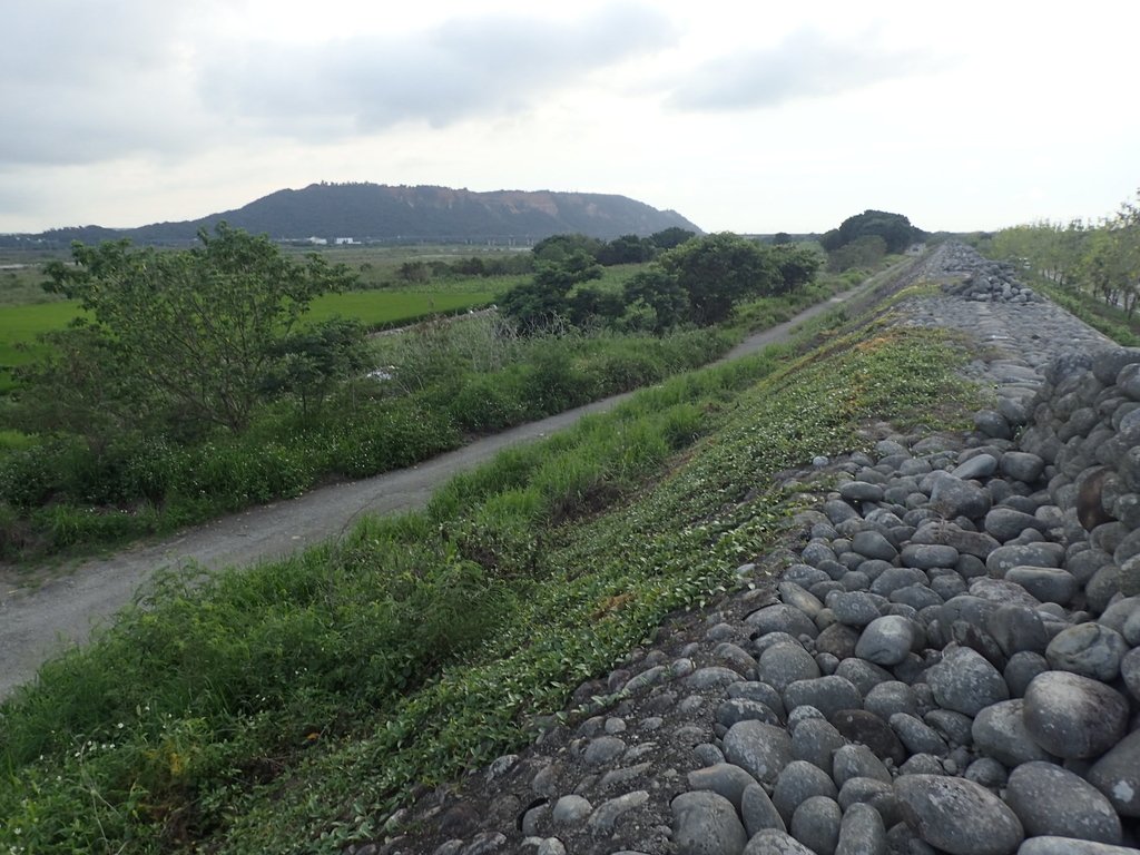 P5314006.JPG - 大甲  大安溪  北堤岸風光