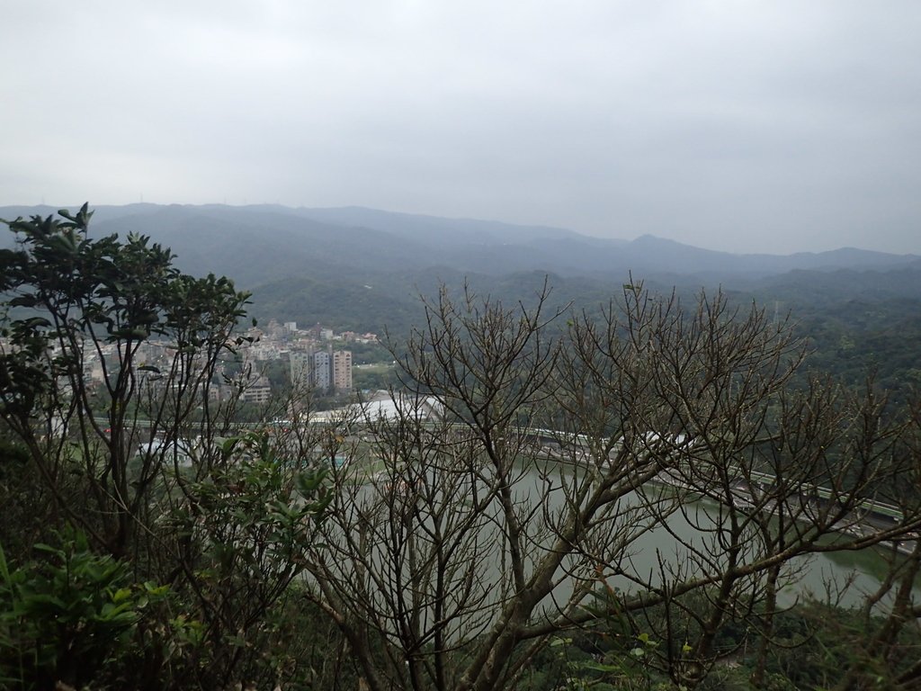 P3116943.JPG - 內湖  白鷺鷥山親山步道