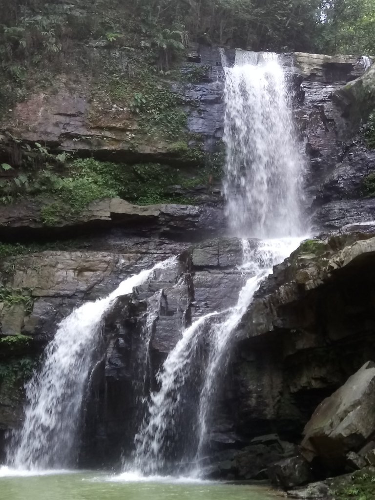 DSC_2640.JPG - 魚池  澀水森林步道  水上瀑布