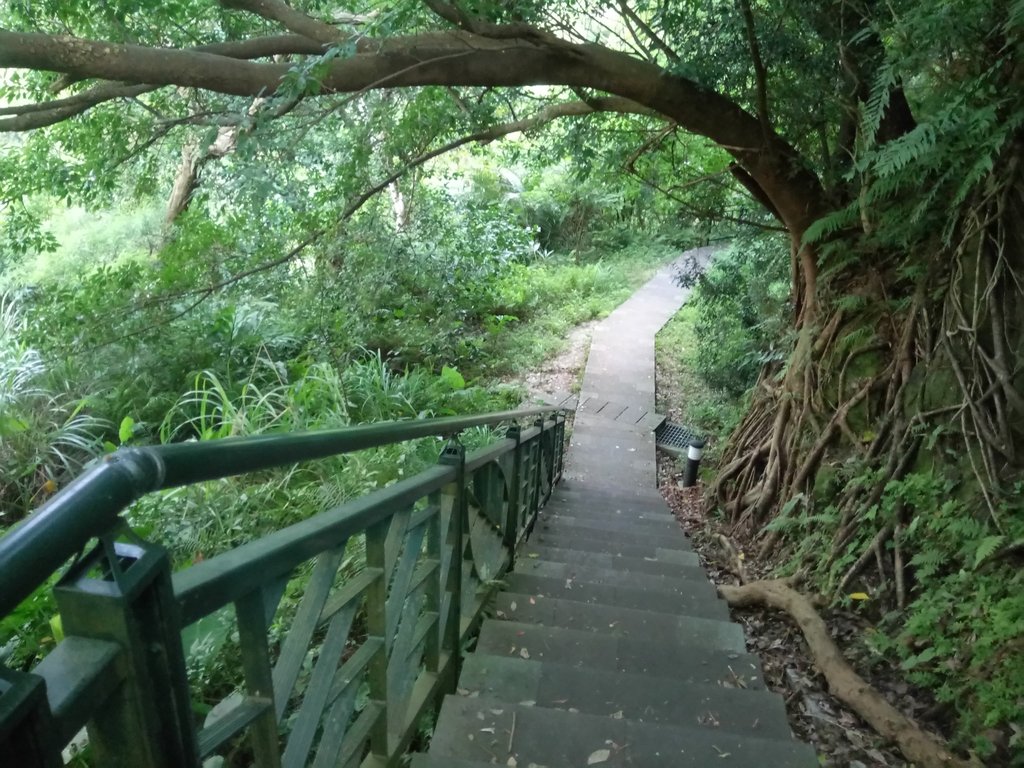 DSC_2031.JPG - 新店  碧潭  和美山登山步道