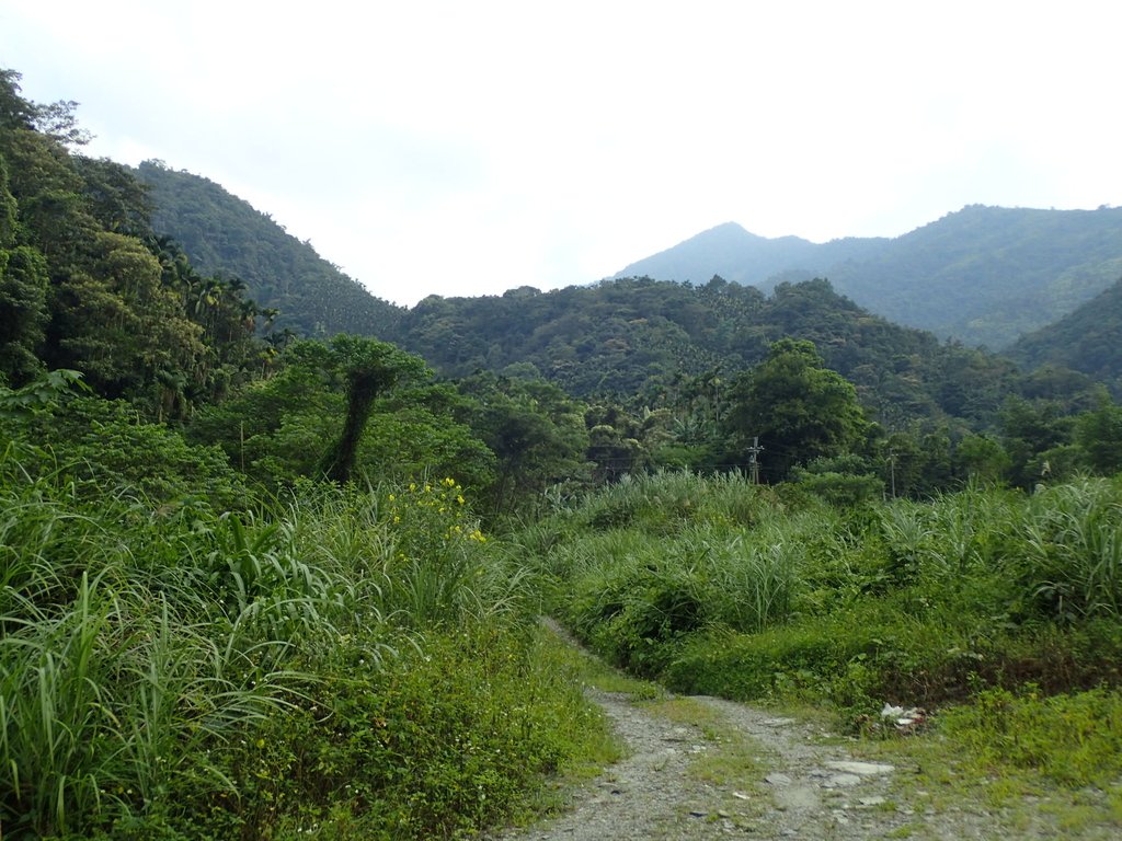 PA040506.JPG - 魚池  大尖山  鹽土坑林道